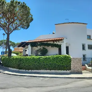 Eucalipto District de Faro