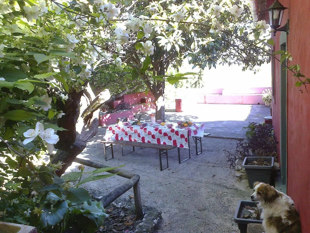 Casa Amoreira - Quinta Amoreira Faro Chata